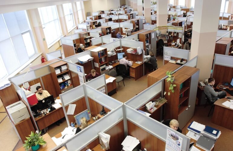 office, cubicles, employees